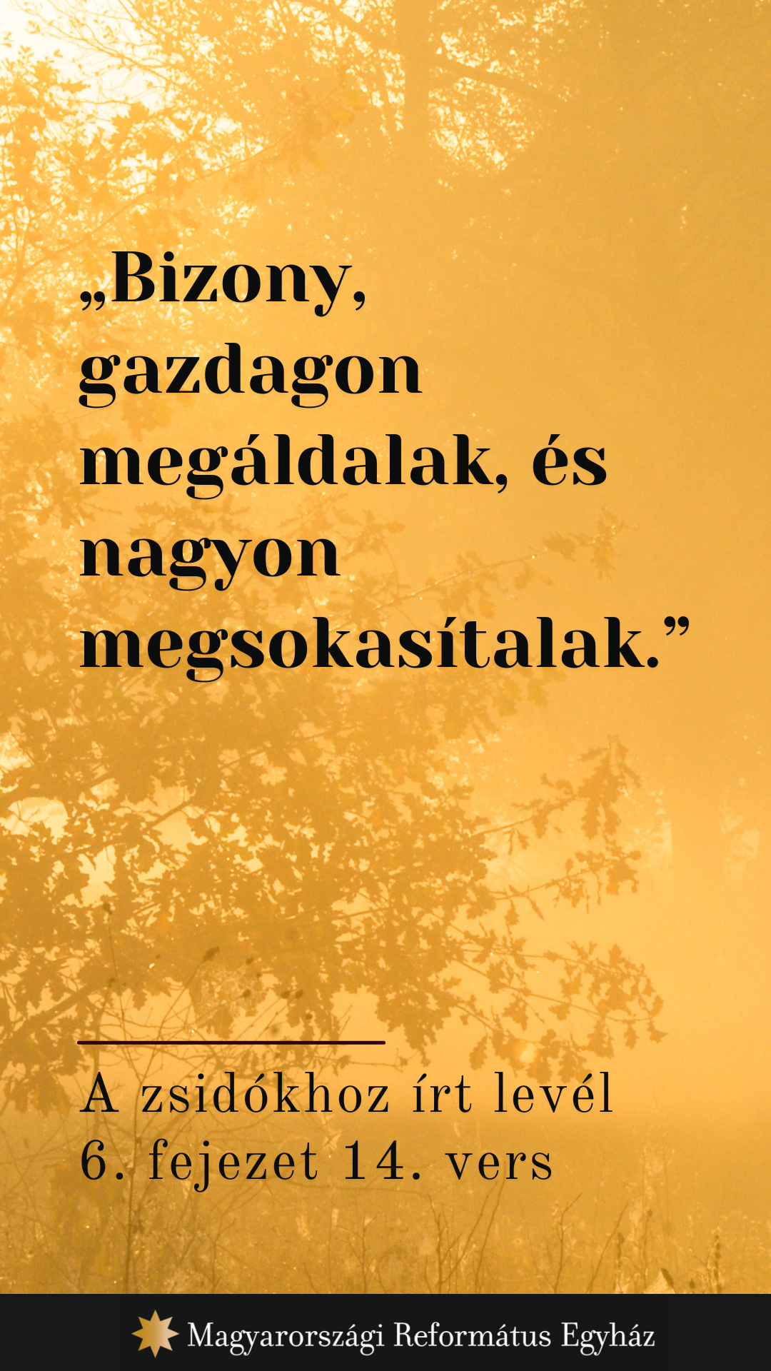 Augusztus 19