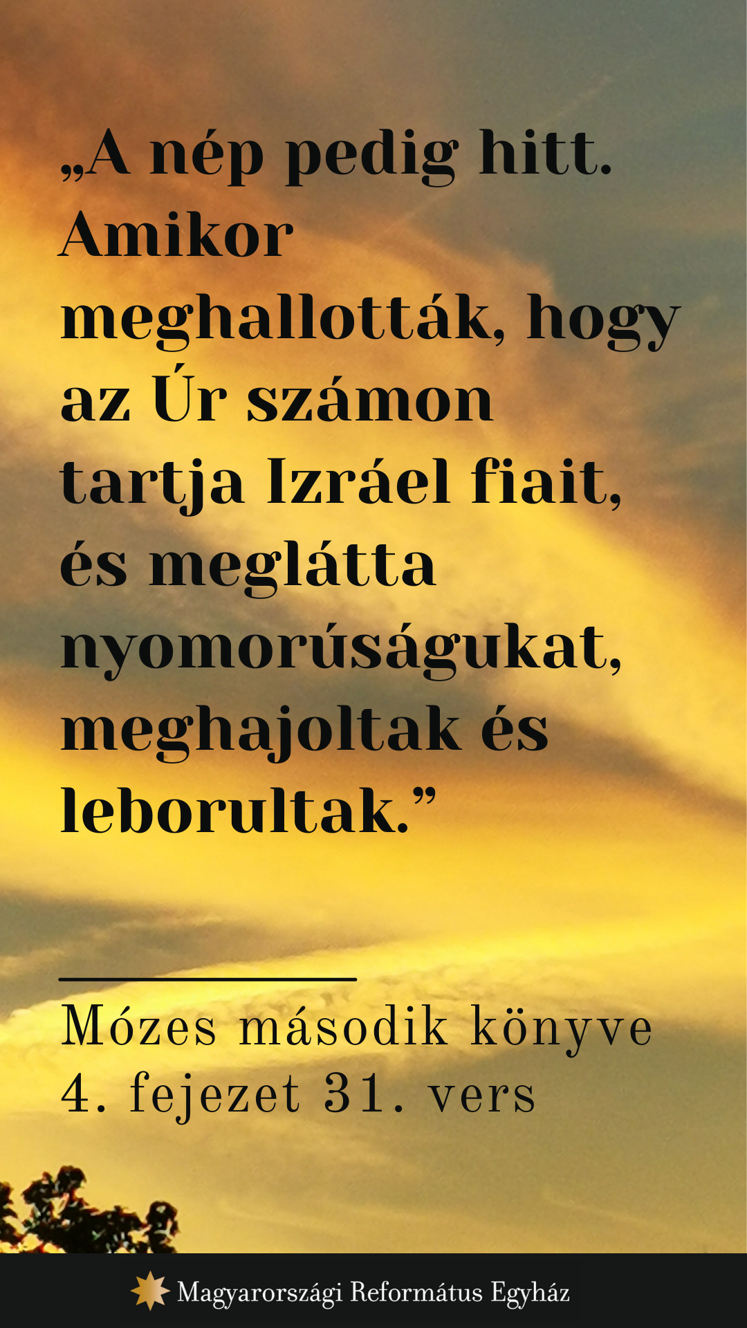 Augusztus 24