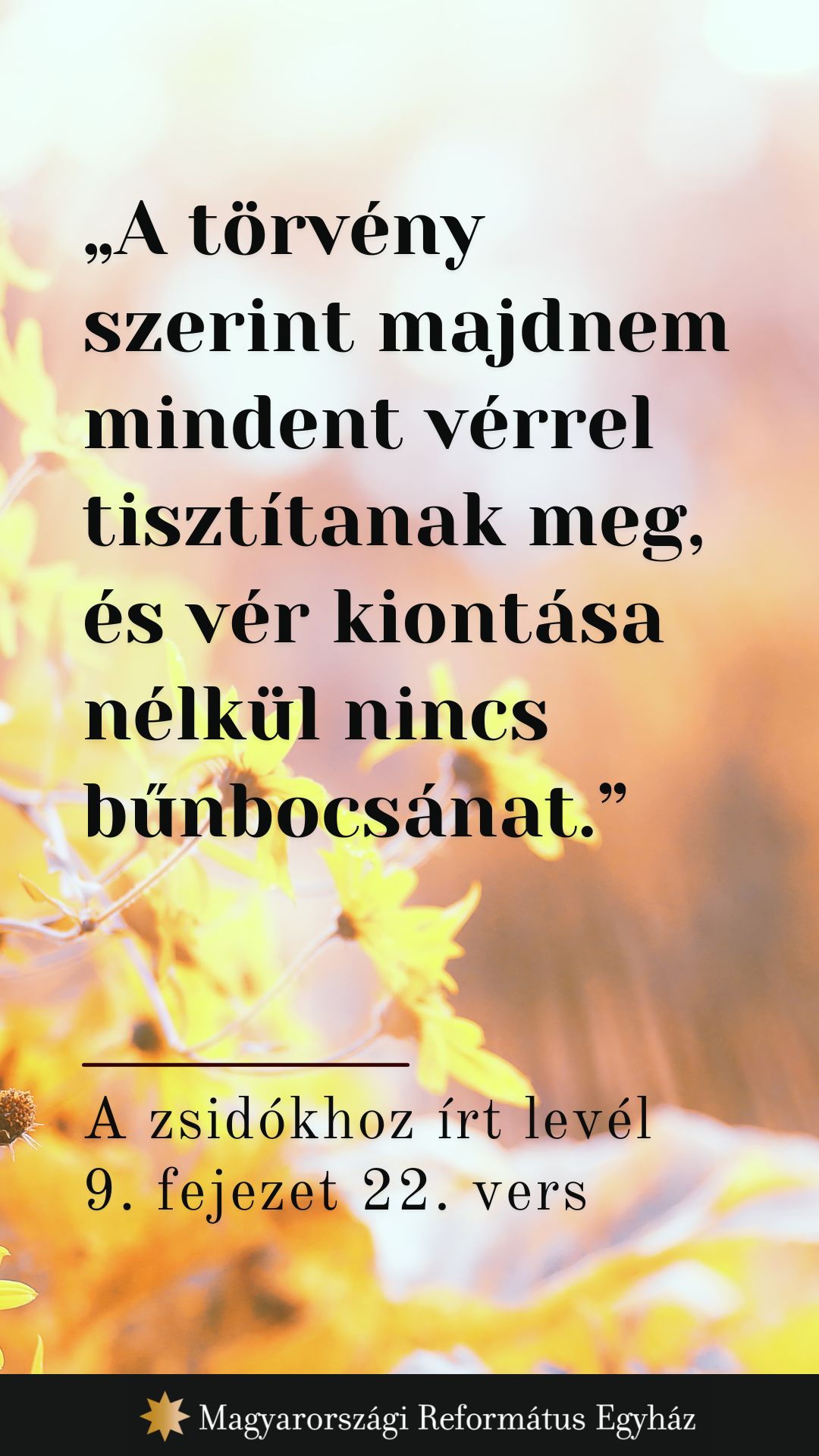Augusztus 26