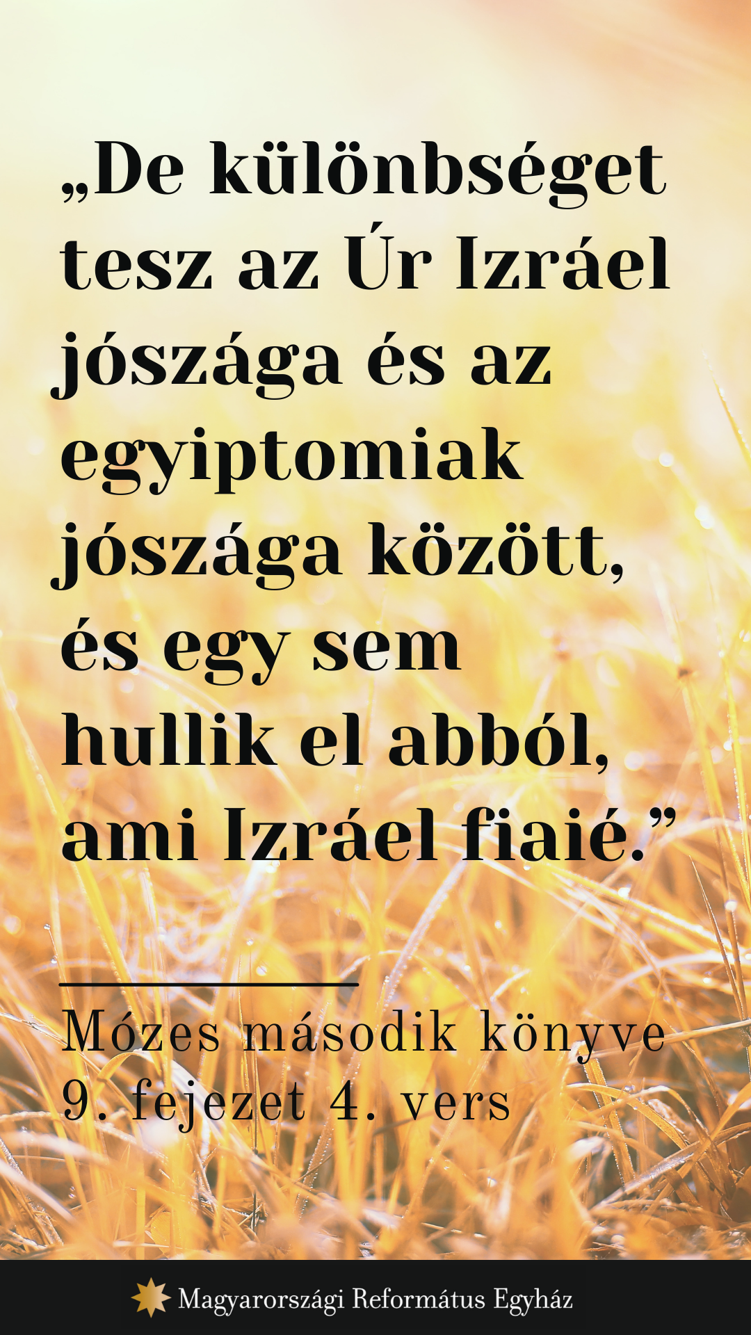 Augusztus 30