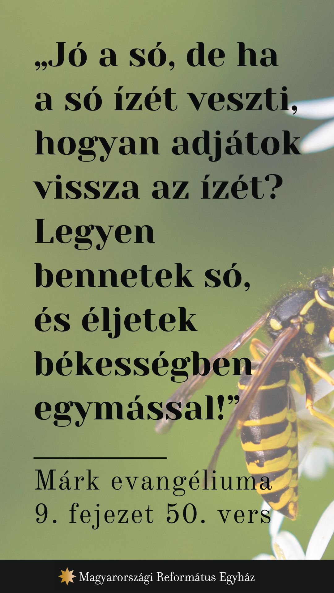 Augusztus 3