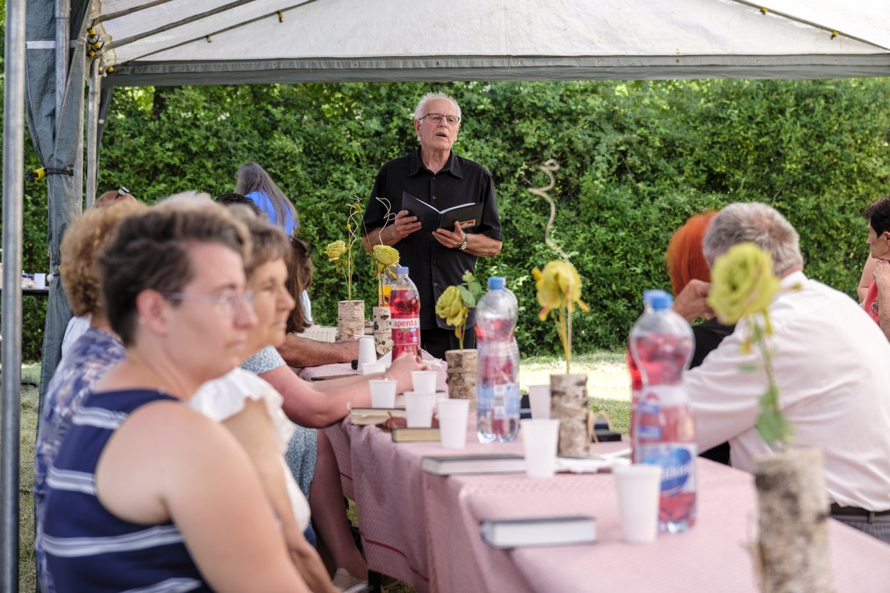Gesztely_2_DSF6657 2026 Zelenka