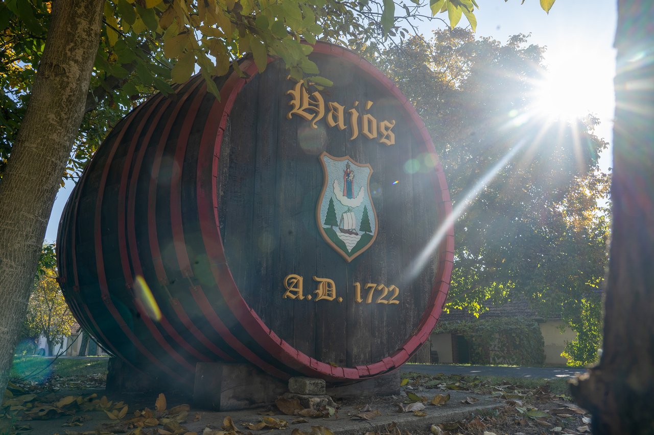 Hajós Borum_RKK 2026