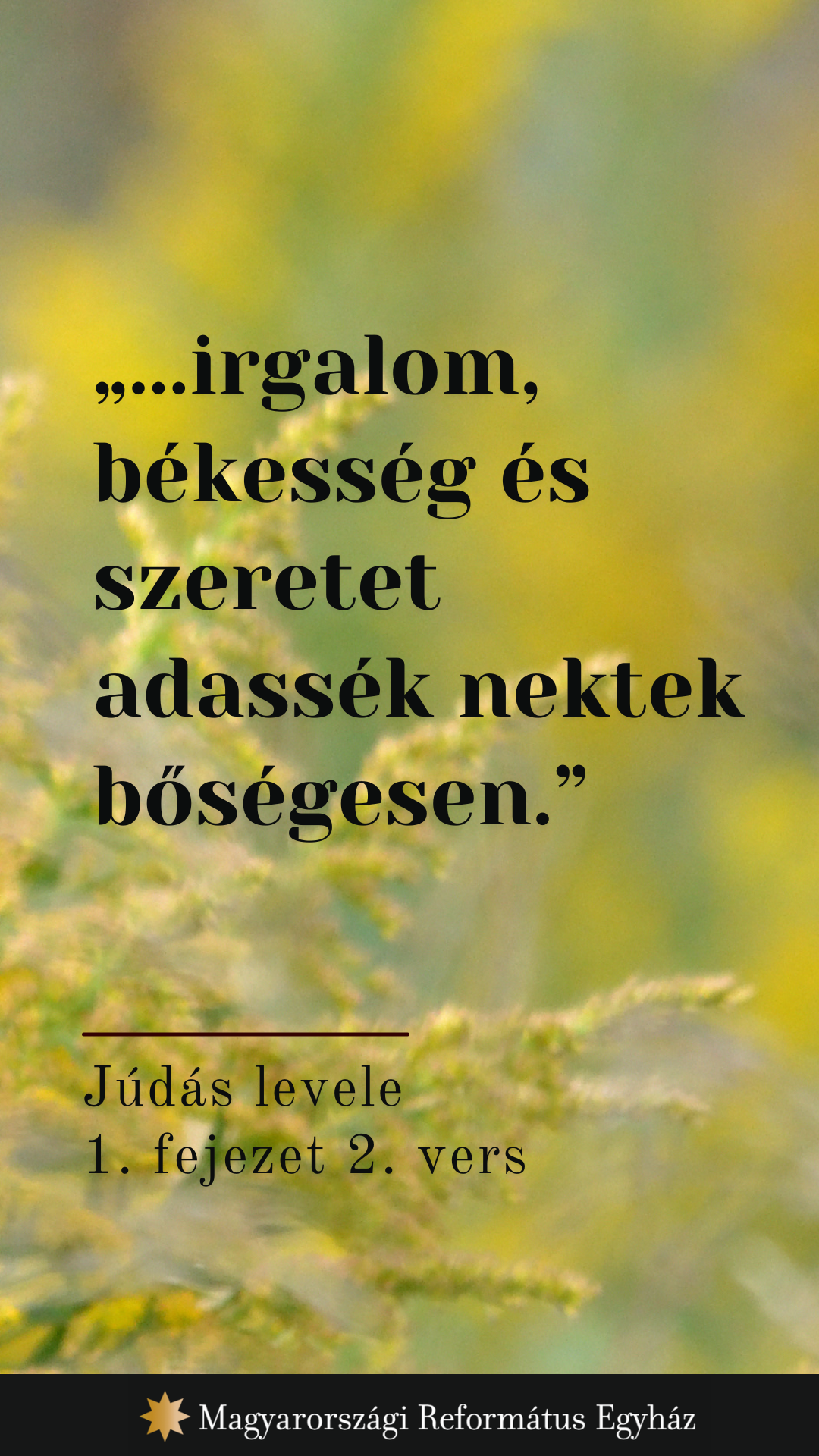 Június 8