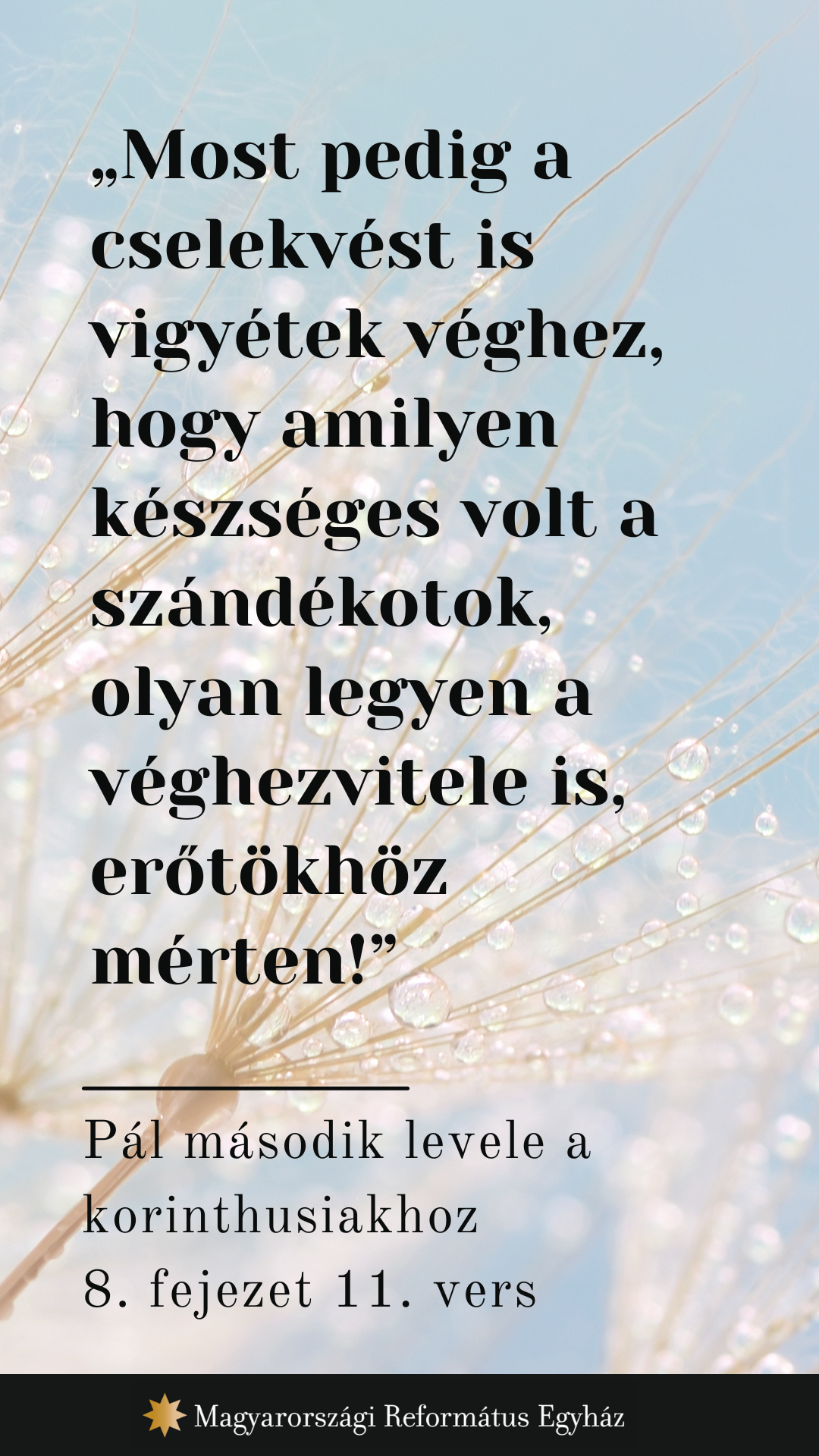 Május 11