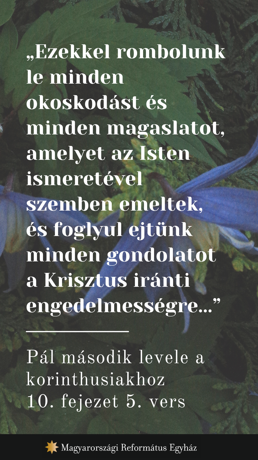 Május 15.