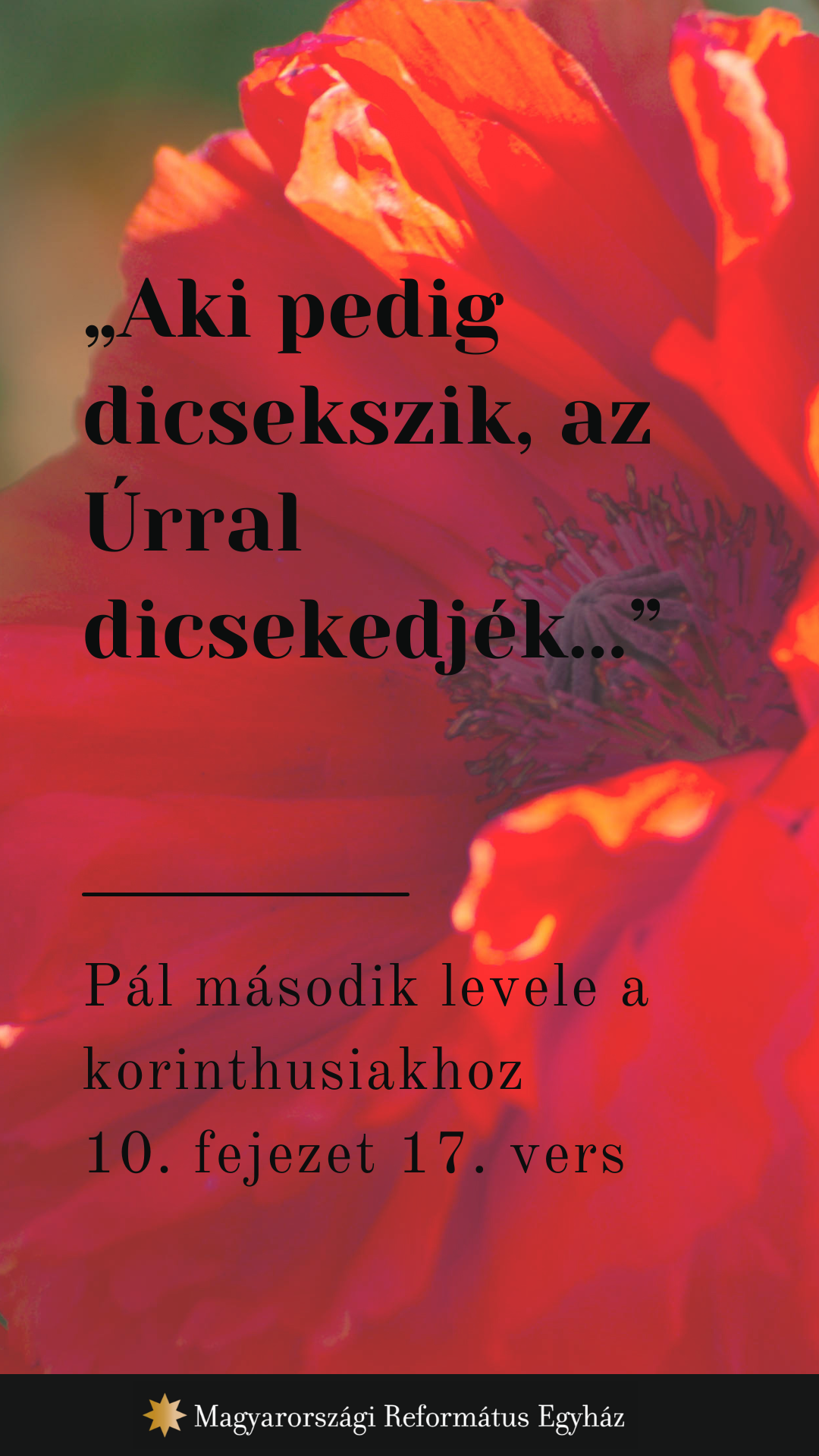 Május 16