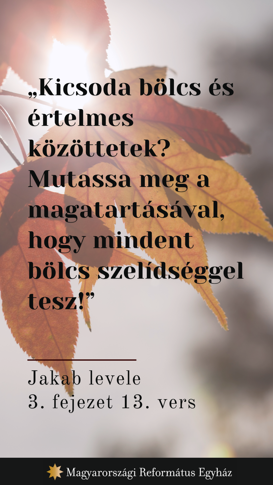 Szeptember 24