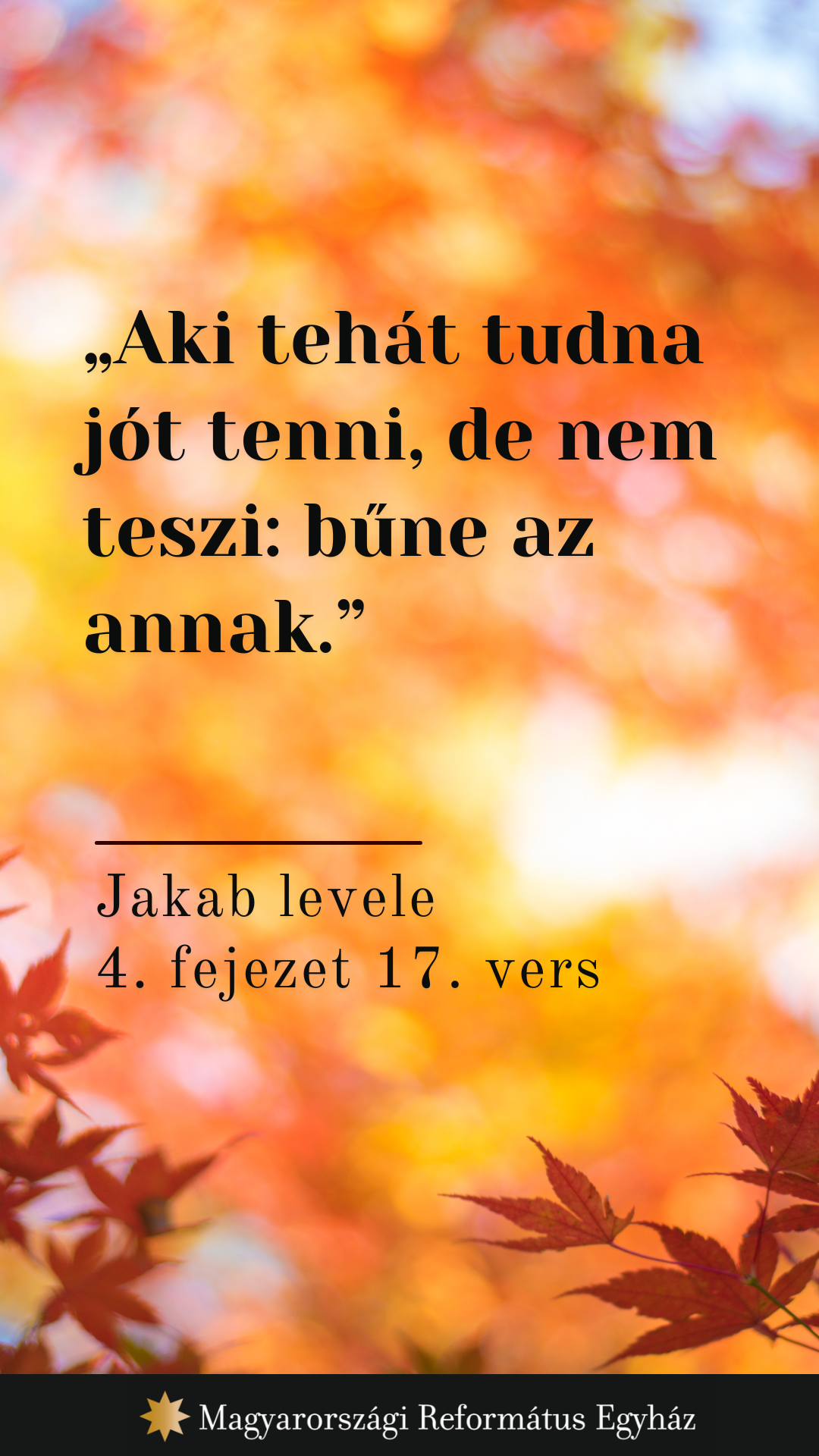 Szeptember 26