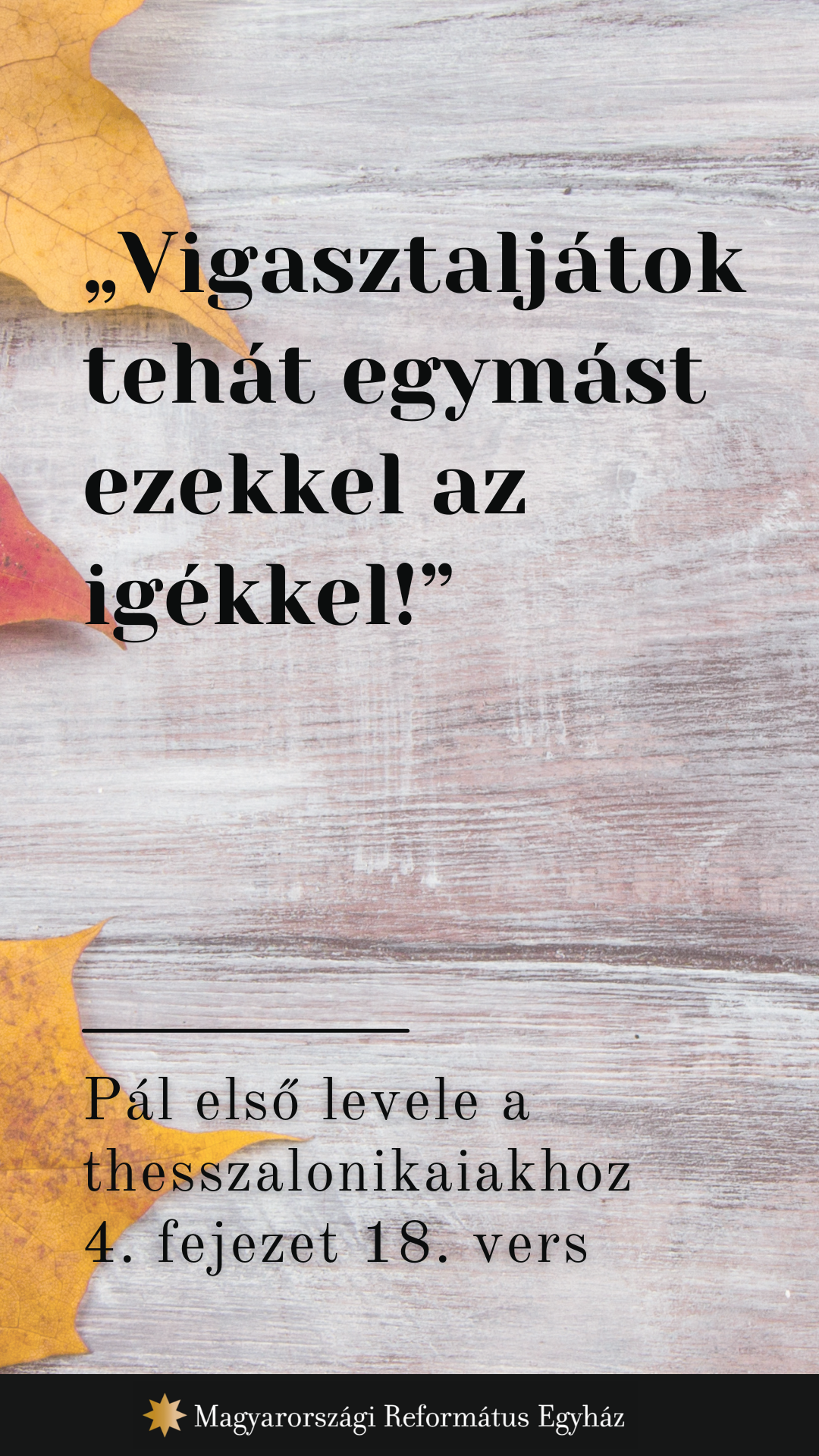 Szeptember 29.