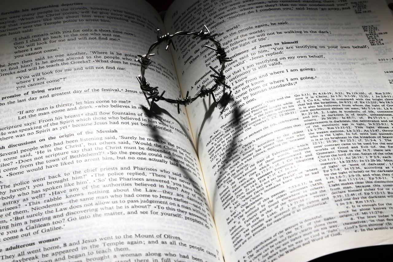 Biblia, tövis, szenvedés, szeretet, etika, publicisztika, jó, Jézus - Fotó: Pixabay