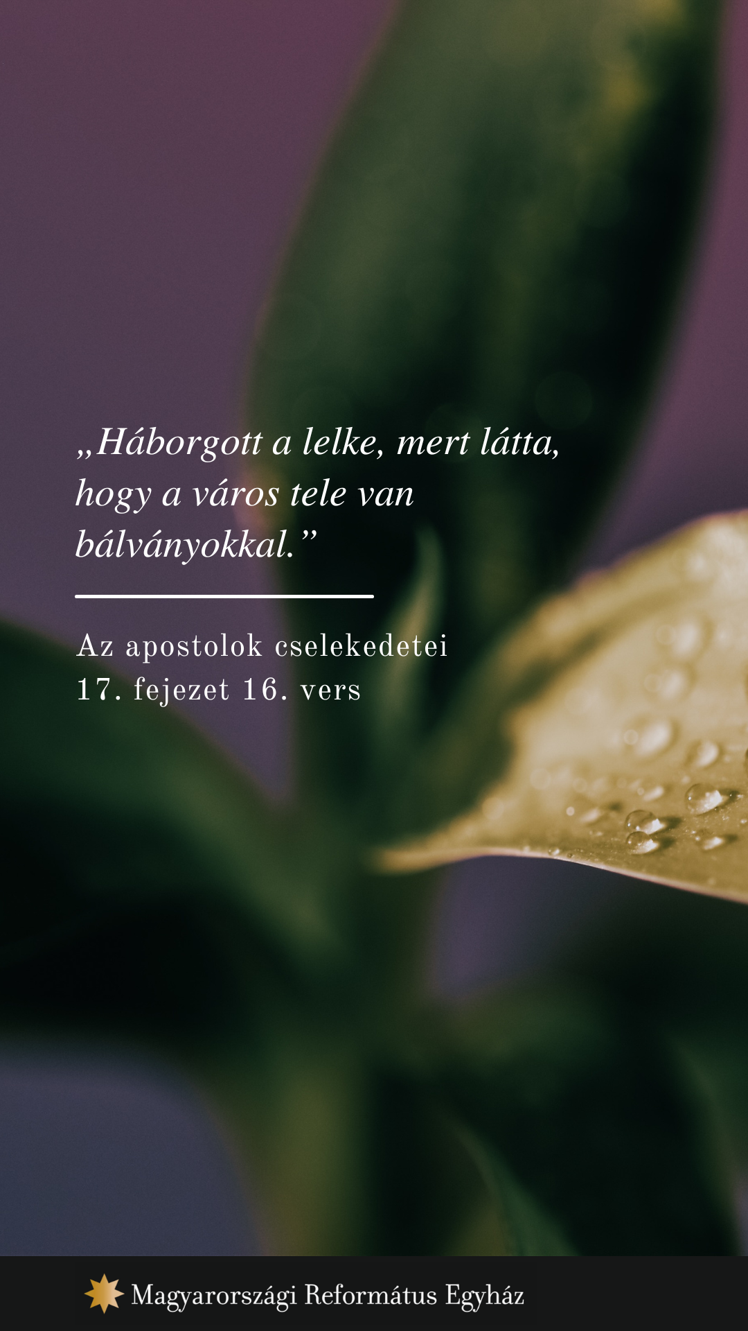 okt.19.