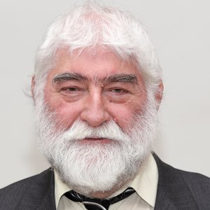 Somogyi Sándor portré