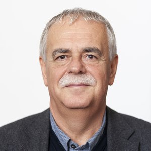 Vad Zsigmond portré